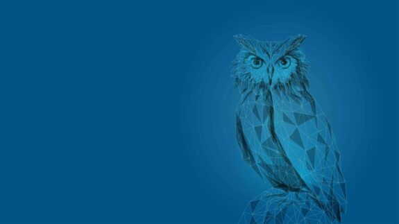 Blue Owl