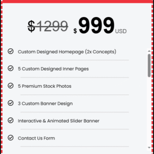 Pro Website Design Package