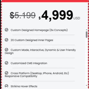 Enterprise Website Design Package