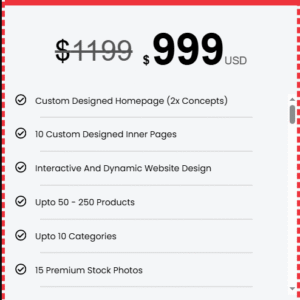 Professional E-Commerce Website Package
