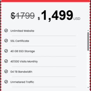 Business Hosting & Domain Package