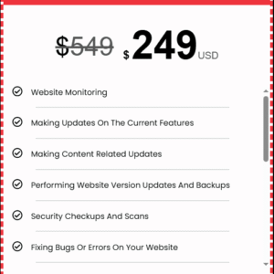 Premium Website Maintenance Package