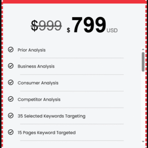 SEO Scaling Plan Package