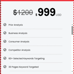 SEO Venture Plan Package