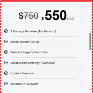 SMM Startup Plan Package
