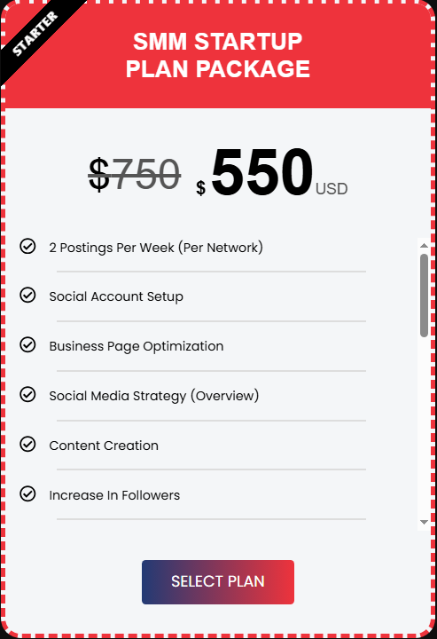 SMM Startup Plan Package