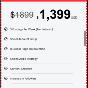 SMM Venture Plan Package