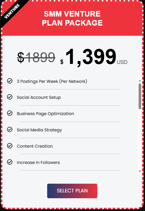 SMM Venture Plan Package